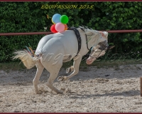 1-13JUIN 1259